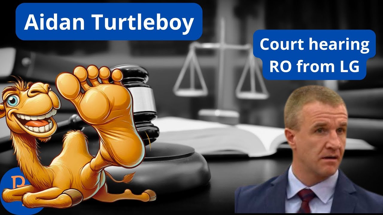 Aidan Turtleboys's hearing from this week YouTube Aidan Turtleboys's hearing from this week YouTube