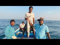 खोल समुद्रातील "सुरमई" माश्याची मासेमारी | King fish (surmai) catching in the deep sea of konkan