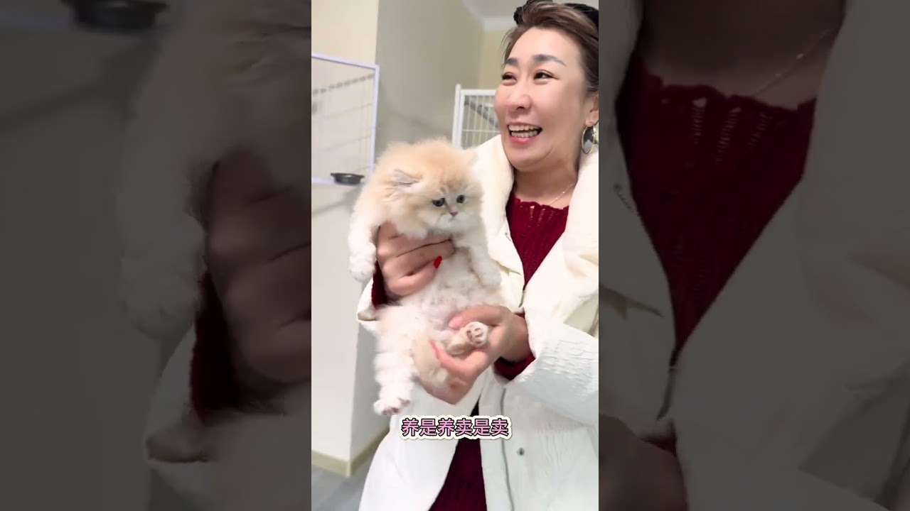 Is cream gold good-looking