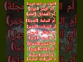 ألأمهات في اللغة العربية أم البشر حواء أم الفضائل العلم أم القرى مكة المكرمة 