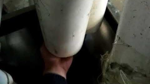 GroTech Plastic Color Sorter Machine-Color Sorting Video