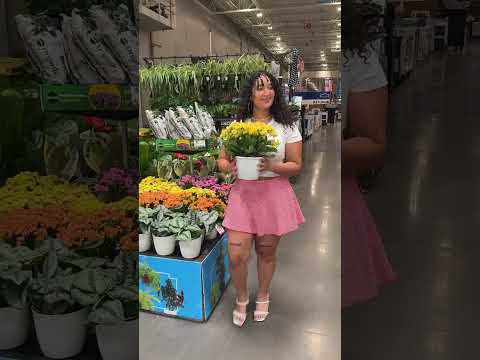 picking out some new flowers 💐