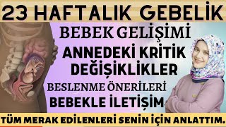 23 Haftalık Gebelik 2023