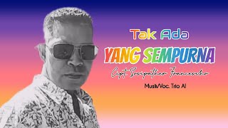 TAK ADA YANG SEMPURNA || Cipt. Sosipather Francescho || Musik & Voc. Trio AI