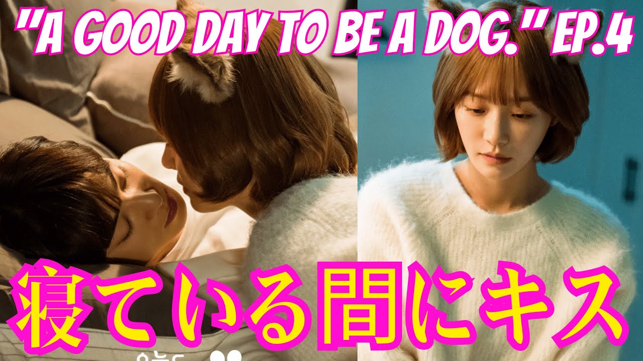 Astro's Cha Eun-Woo Kisses a Dog in A Good Day to Be a Dog K-Drama: 'Hard  to Focus' Astro's Cha Eun-Woo Kisses a Dog in A Good Day to Be a Dog