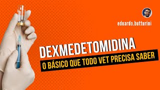 O mínimo que todo veterinário precisa saber sobre a dexmedetomidina...