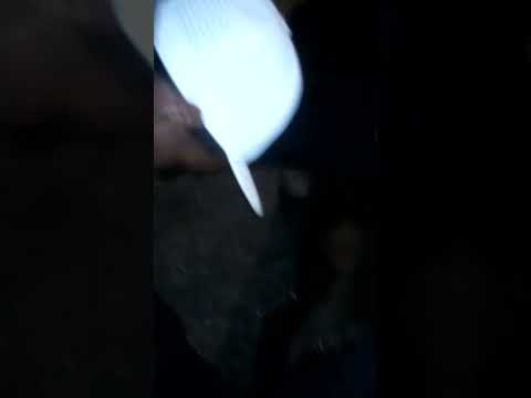 سلاوي مرياص 