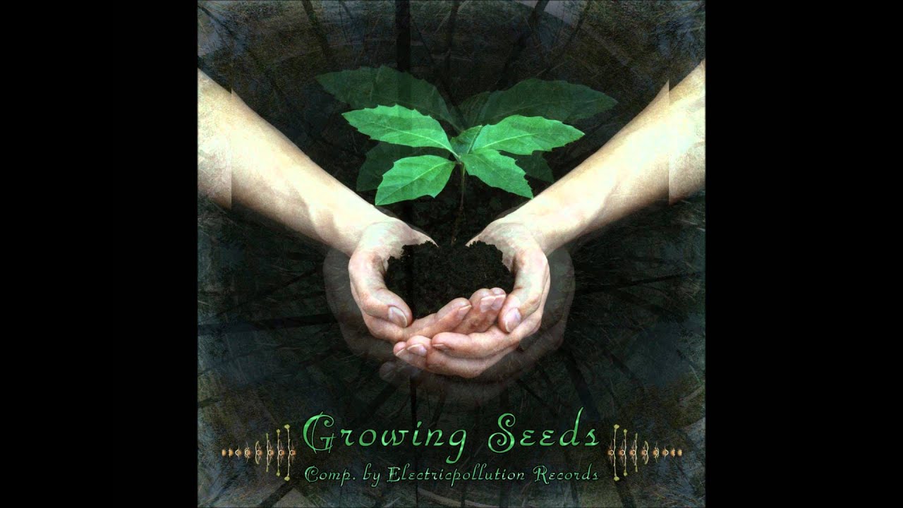 Algae Bloom Fake Flake YouTube