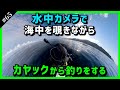 海釣りライブ　初夏名物　巨大なアジをジギングで狙う　Kayak Fishing LIVE in JAPAN【LIVE65】