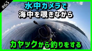 海釣りライブ　初夏名物　巨大なアジをジギングで狙う　Kayak Fishing LIVE in JAPAN【LIVE65】