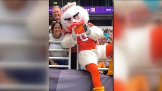 No longer a secret: Fort Myers native revealed as Miami mascot