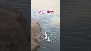sagar kinare #vairalshort #rajasthani #youtubeshorts