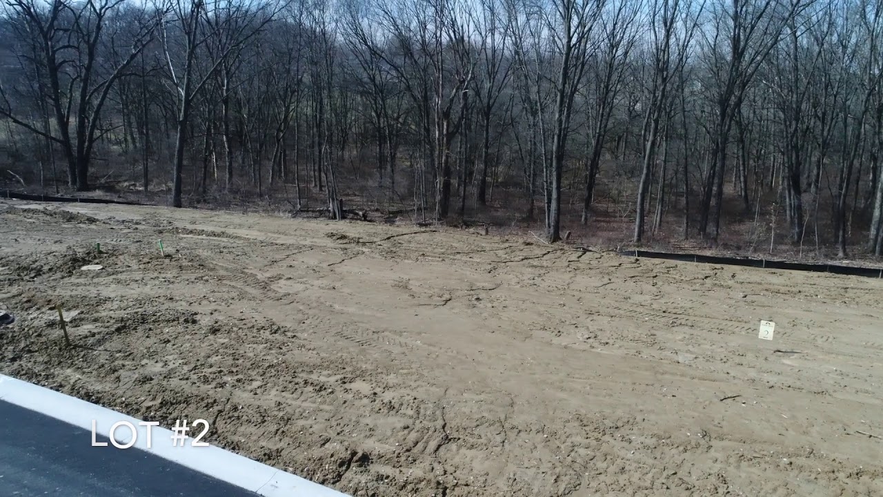 Walkout Lots 1-3 Overview