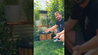 Anzeige | DIY Miniteich #miniteich #diy #gartendiy #deko  #garten #gartenideen #shorts #diyideen