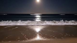 Sleep Deeply with Peaceful Underwater Ocean Sounds 🌊 ASMR Ambience