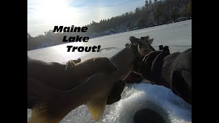 Jigging Lake Trout-Maine Ice Fishing