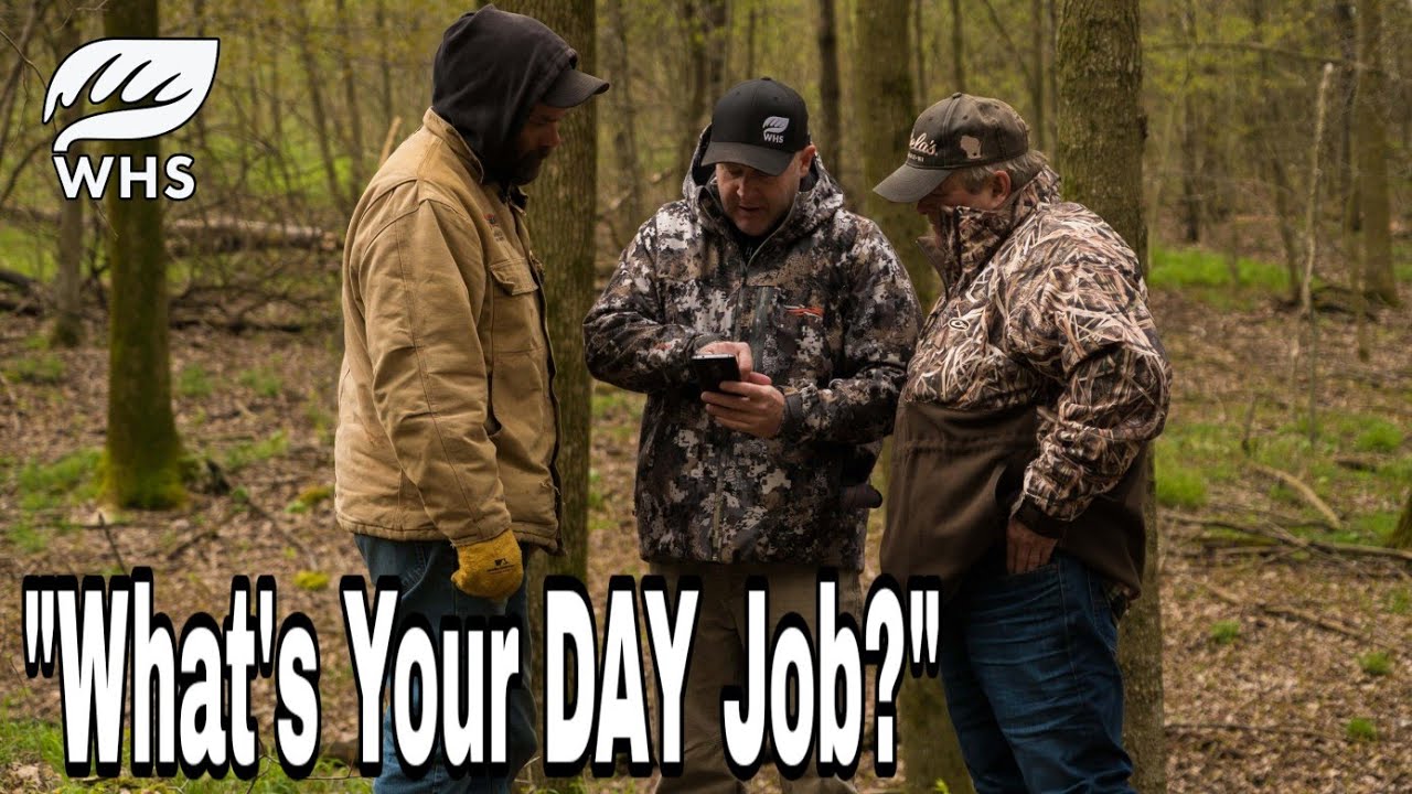 How To A Deer Habitat And Hunting Consultant YouTube