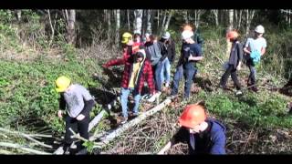 Carihi Forestry 11/12