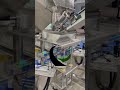 Canned quail egg counting and filling machine 罐装鹌鹑蛋数粒灌装机 #machine #filling #counting #egg