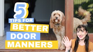 Stop Your Dog from Jumping and Running Out the Door | 5 Tips for Better Door Manners