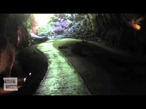 Parque de las Cavernas del Río Camuy, Puerto Rico