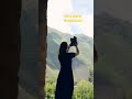 Inca Medicine School - Shamanism Peru #shamanism #healing #cusco #peru