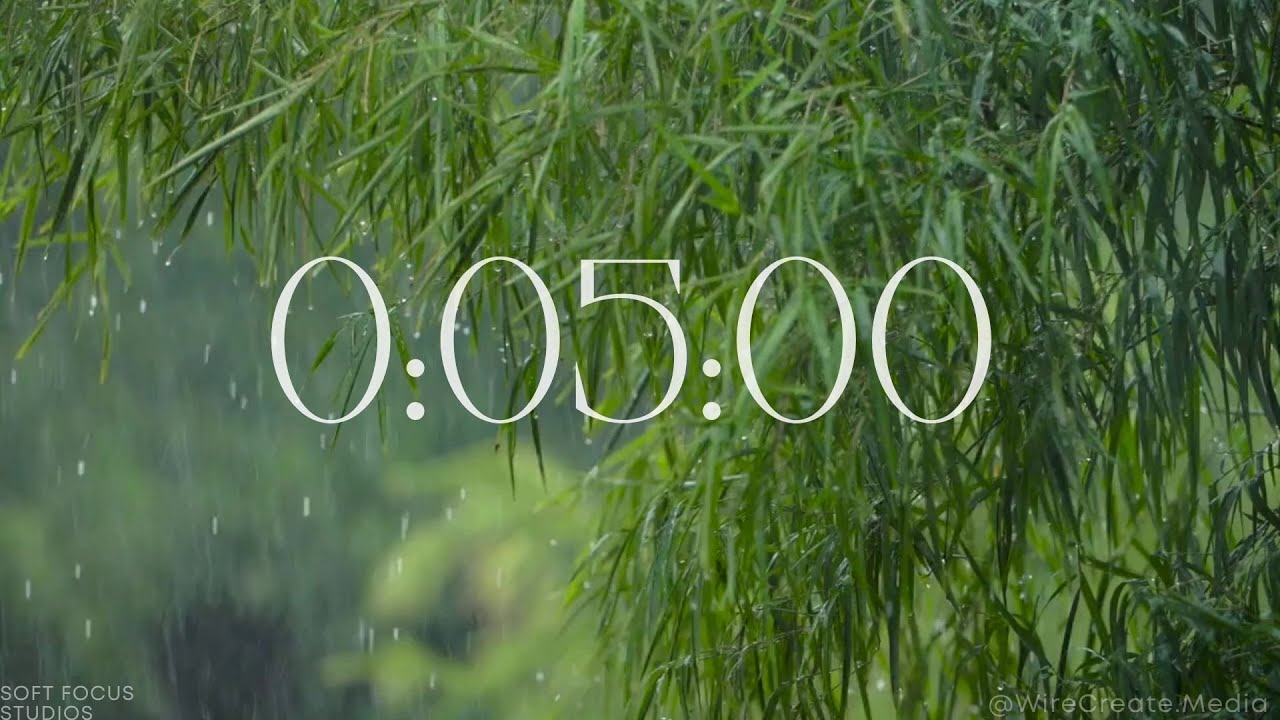 5 Min Countdown Timer ⏰🌧️ Rain & Nature Background - YouTube