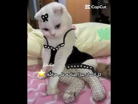 احنا بعد كم شهر