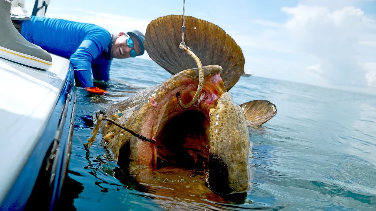 Caught A Monster Grouper That Weighed More Than The Boat Pobse