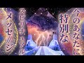 【〇〇からのオファーどうする？🥹✨】今のあなたにスピリチュアルありの特別メッセージ💖