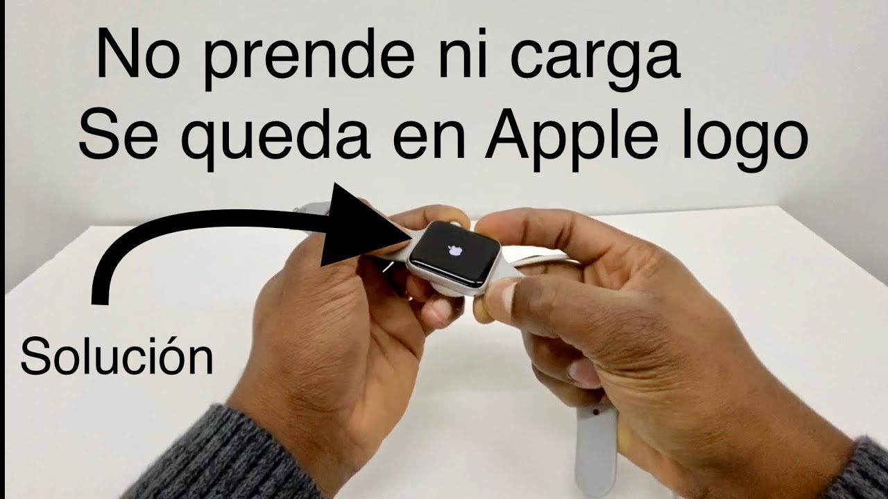 Como se carga el apple watch