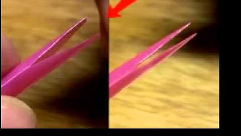Make a Reed Instrument from a Drinking Straw