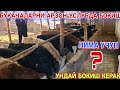 АРЗОН ЙЕМ ТАЙОРЛАШ УСЛУБИ