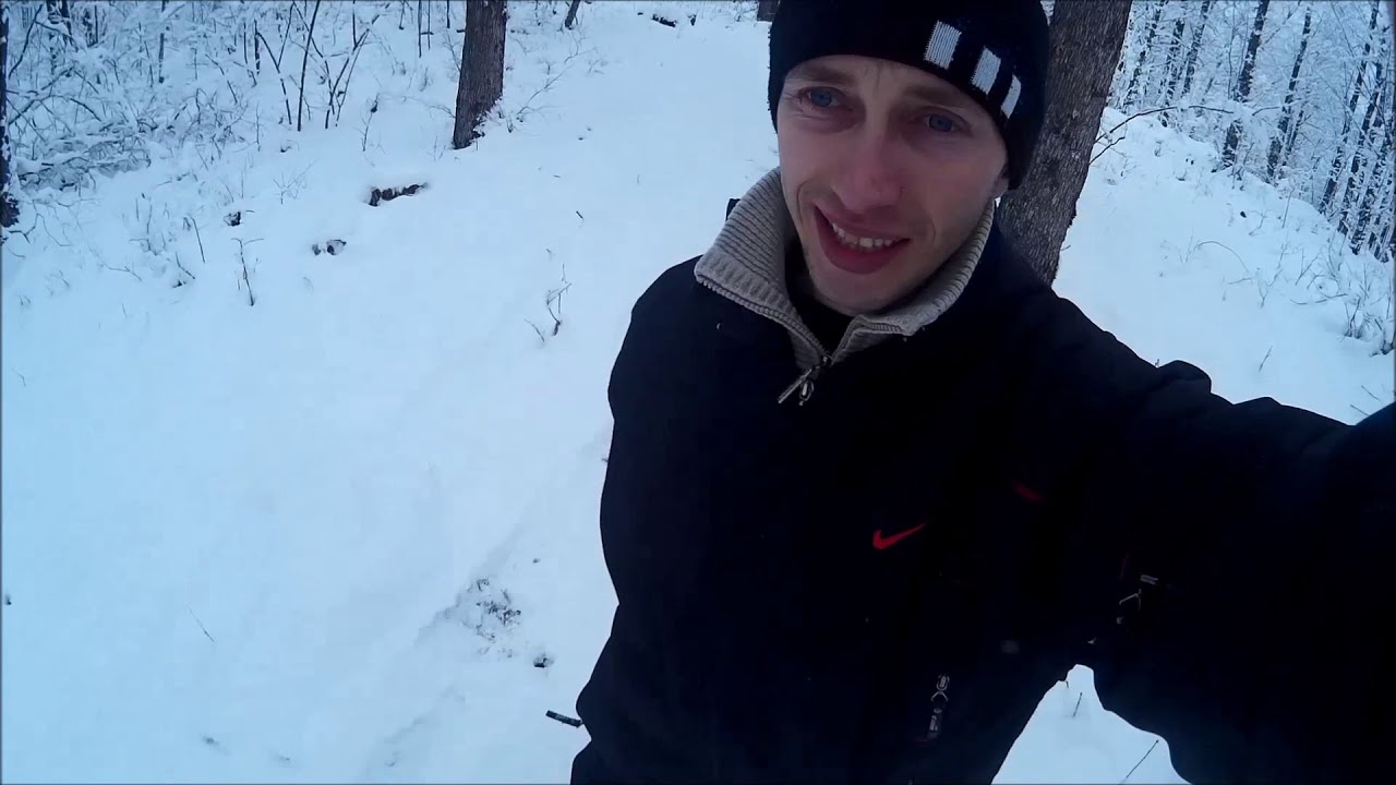Нива в лесу