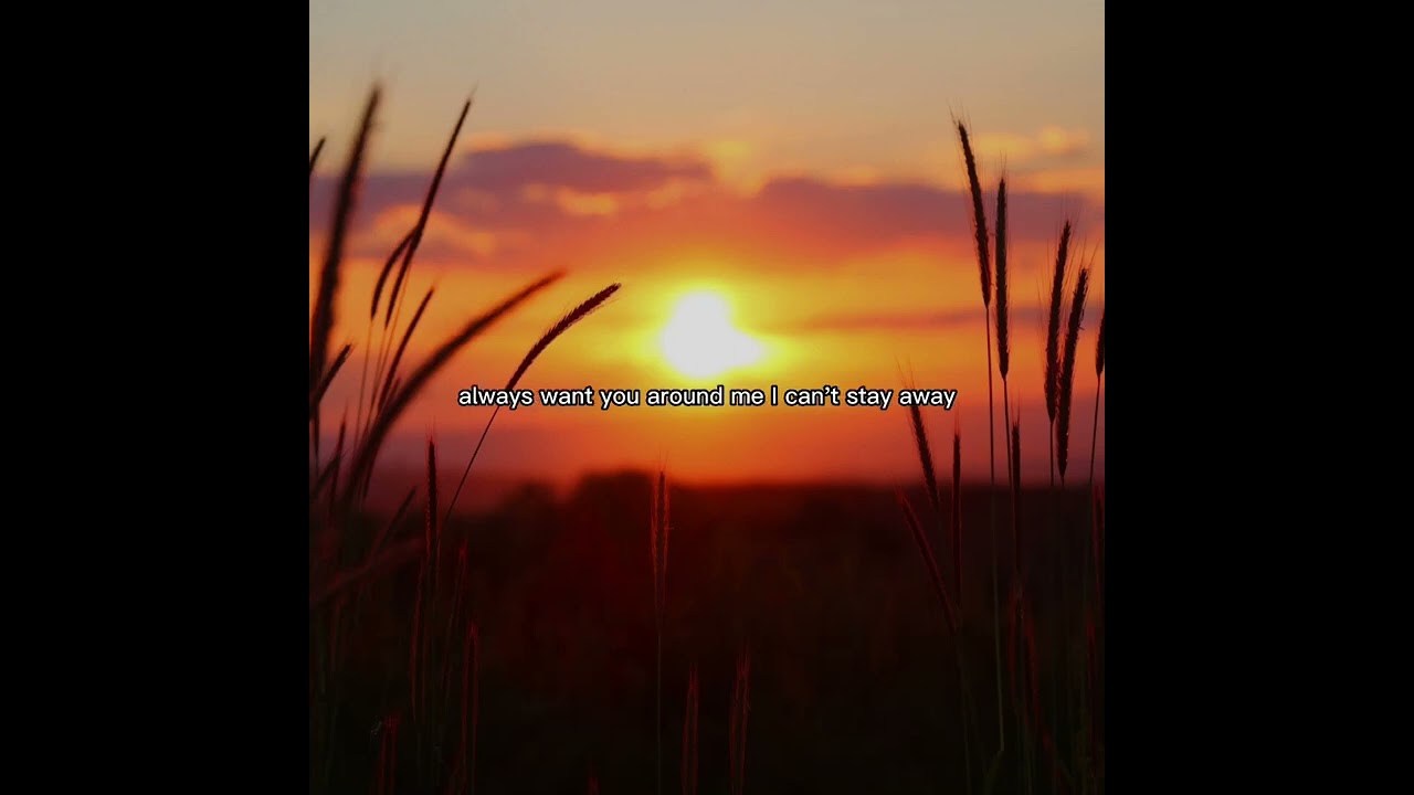 YouTube에서 Kaylee Ameri - Trenches (Lyrics) 보기 YouTube에서 Kaylee Ameri - Trenches (Lyrics) 보기