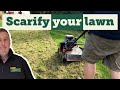 How to scarify your lawn step by step