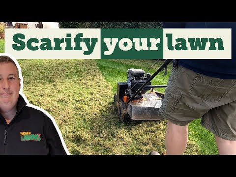 Video: Lawn Scarification