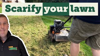 How to scarify your lawn step by step