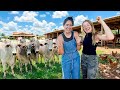 MOSTREI TODA A MINHA FAZENDA PRA DANI 