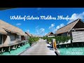 Waldorf Astoria Ithaafushi Maldives - Touring Around