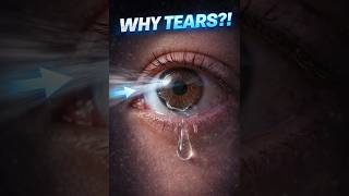 Why Your Eyes Tear in Strong Wind