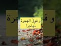 SANA Podcast و فوق الهجرة ن هاجر اقتباس شعر قصيدة هجرة 
