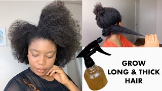 Extreme Fenugreek & Aloe Vera Leave in Conditioner for Fast Hair Growth | Grow Long & Thick Hair