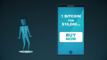 The Nauticus Ecosystem Introduction and Explainer - Short Version