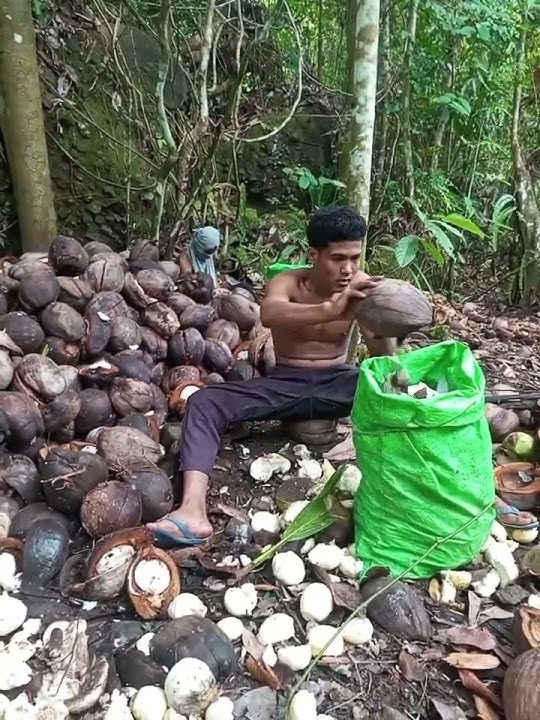 Togal terbaru_2025
