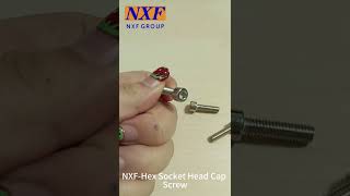 NXF UNS S316/DIN1.4401/AISI 316/0Cr17Ni12Mo2 Diameter M2-M30 316 Fastener Hex Socket Head Cap Screw