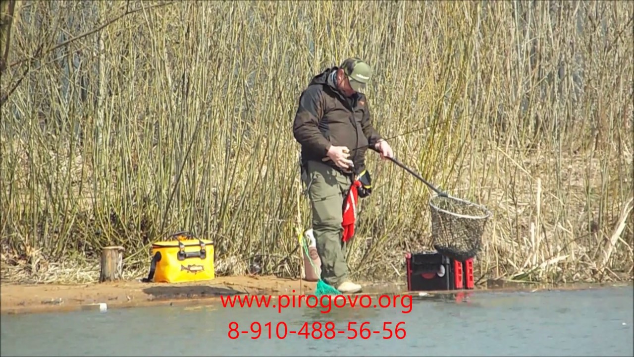 Платная рыбалка - YouTube