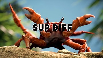 Sup Diff Crab Rave