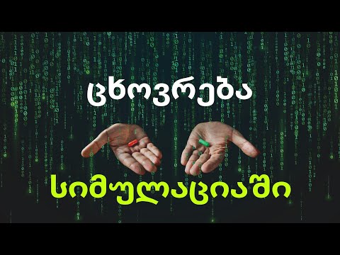 სიმულაციაში ცხოვრება