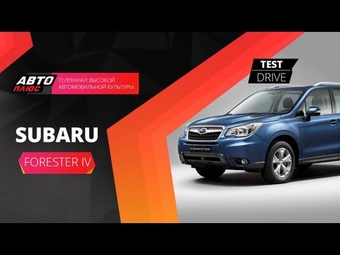 Тест-драйв Subaru Forester IV (Наши тесты)